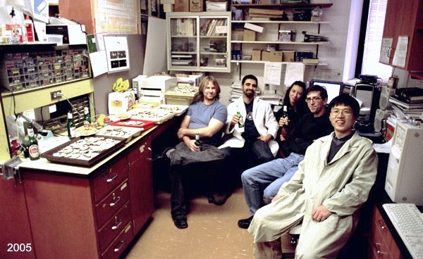 Oysters 2005